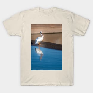 American White Pelican Calmly Watching T-Shirt